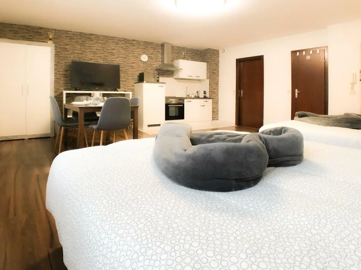 Vips Apartments Wien 0*,